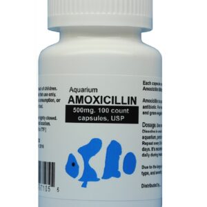 Aquarium Amoxicillin , commonly known as Fish mox forte , is the most popular fish antibiotics