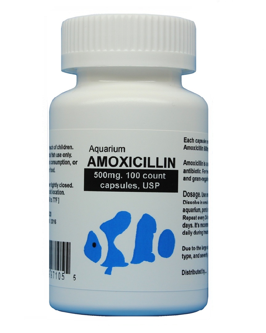 Aquarium Amoxicillin – fish mox forte 500mg 100 capsules