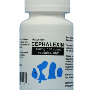 fish flex forte Aquarium Cephalexin 500mg