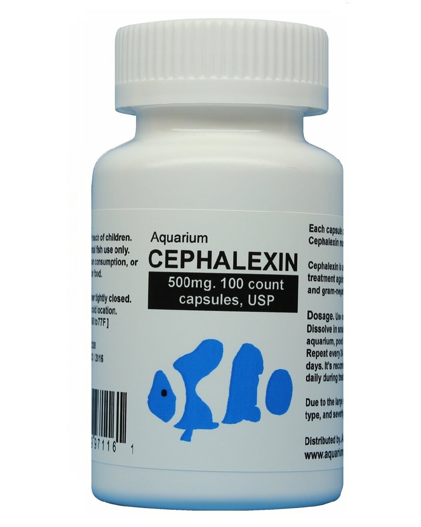 fish flex forte Aquarium Cephalexin 500mg