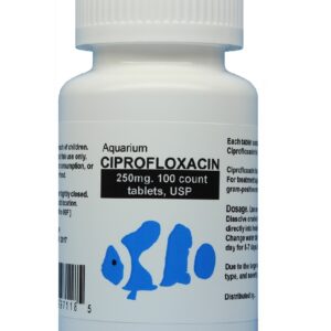 Aquarium Ciprofloxacin , commonly known as fish cipro , is the most popular fish antibiotics ,Use for: Columnaris infections