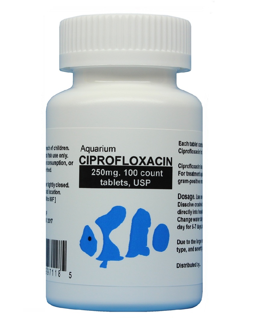 Aquarium Ciprofloxacin – fish cipro 250mg 100 capsules