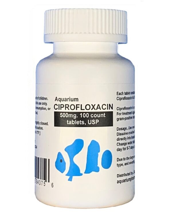 fish flox forte , commonly known as Aquarium Ciprofloxacin , is the most popular fish antibiotics . Help control common bacterial infections in your fish