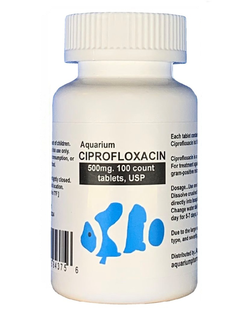 Aquarium Ciprofloxacin – fish flox forte 500mg 100 capsules