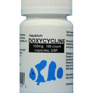 Aquarium doxycycline , commonly known as fish doxy , is the most popular fish antibiotics , an antibiotic treatment for use in fish