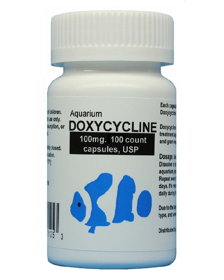 Fish doxycycline – 100mg 100 capsules