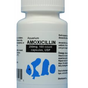 fish mox Aquarium Amoxicillin 250mg 100 capsules