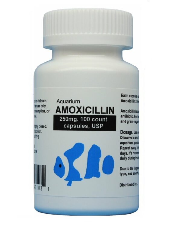 fish mox Aquarium Amoxicillin 250mg 100 capsules