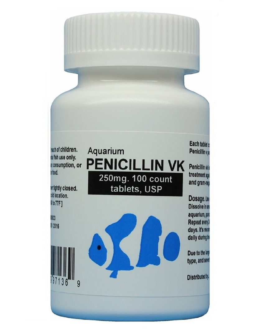 Aquarium Penicillin – fish pen 250mg 100 capsules