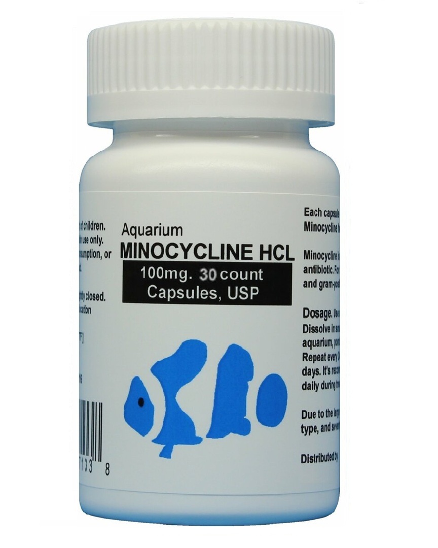 fish Minocycline – 100mg 30 capsules