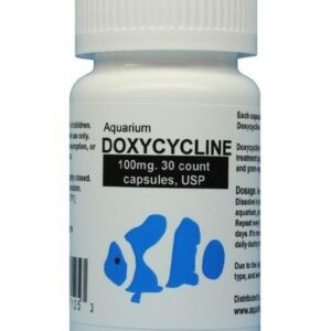 Fish doxycycline – 100mg 30 capsules