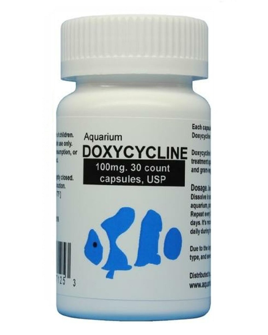 Fish doxycycline – 100mg 30 capsules