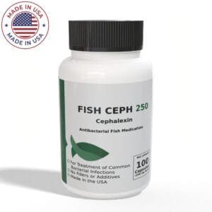 Aquarium Cephalexin - Fish Flex 250mg 100 Count - Fish Antibiotics